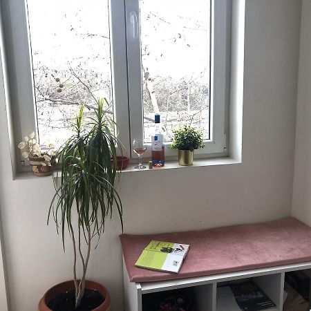 Studio 50 With Terrace Белград Екстериор снимка